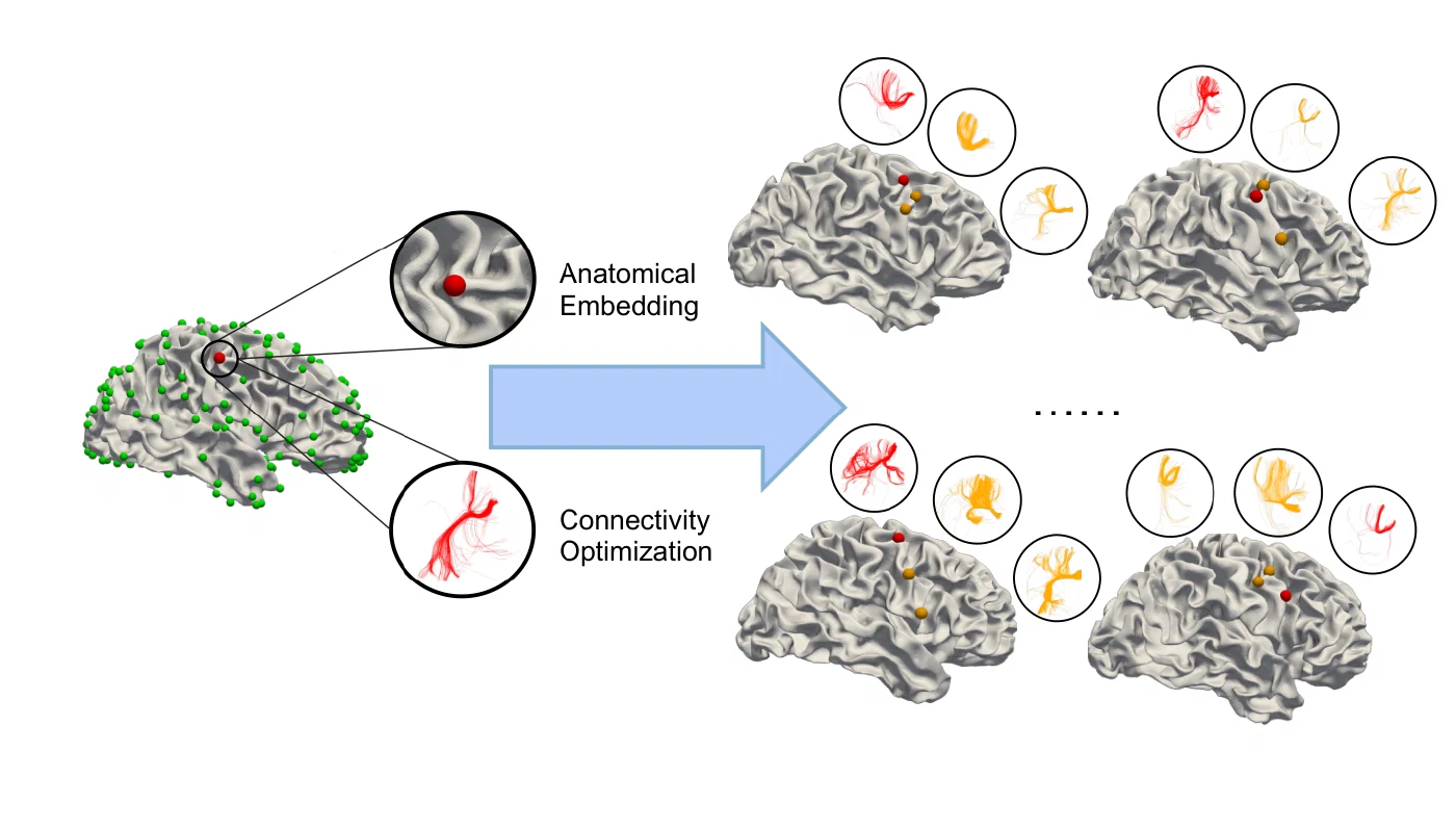 An anchor 3-hinge gyrus (red) is matched in other brains: its anatomical embedding shortlists candidates (yellow), and the fiber bundles through each candidate decide which one corresponds.
